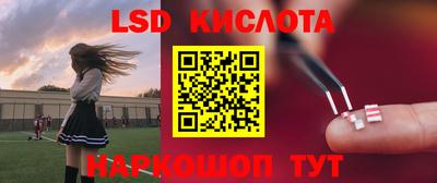 стафф Будённовск