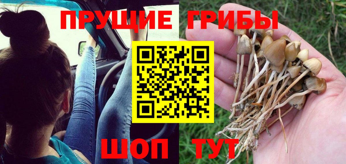 Псилоцибиновые грибы Psilocybine cubensis  Вход с VPN  Сальск 